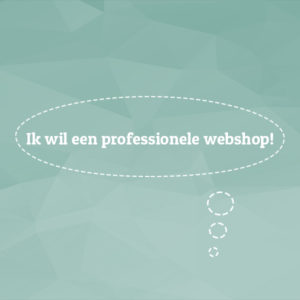ik wil een professionele webshop