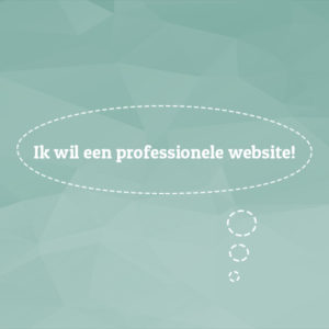 ik wil een professionele website